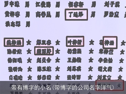 带有博字的小名(带博字的公司名字洋气)