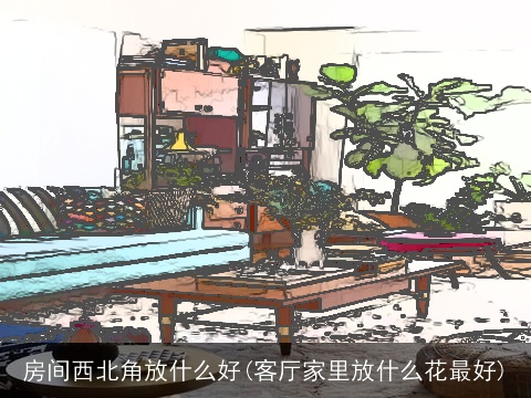 房间西北角放什么好(客厅家里放什么花最好)