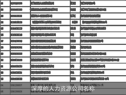 深厚的人力资源公司名称