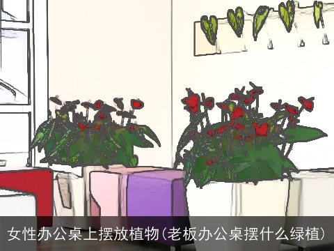 女性办公桌上摆放植物(老板办公桌摆什么绿植)