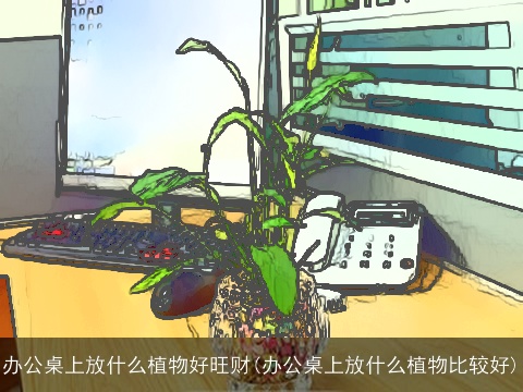 办公桌上放什么植物好旺财(办公桌上放什么植物比较好)