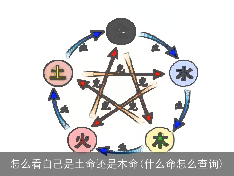 怎么看自己是土命还是木命(什么命怎么查询)