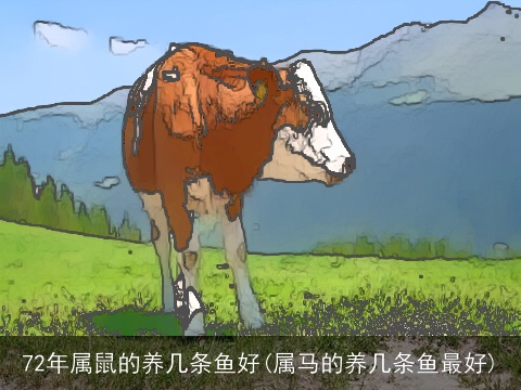 72年属鼠的养几条鱼好(属马的养几条鱼最好)