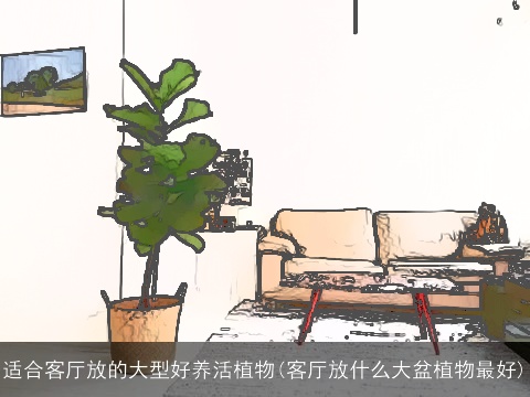 适合客厅放的大型好养活植物(客厅放什么大盆植物最好)