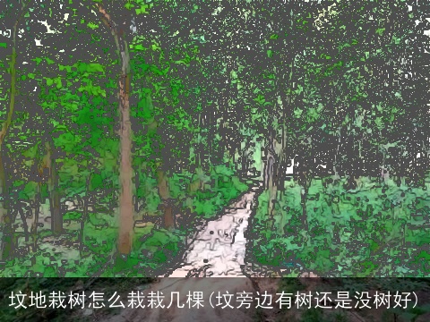 坟地栽树怎么栽栽几棵(坟旁边有树还是没树好)