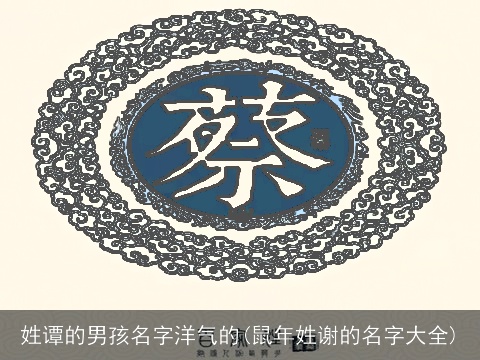 姓谭的男孩名字洋气的(鼠年姓谢的名字大全)