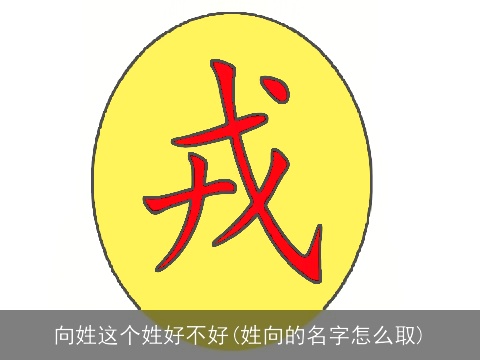 向姓这个姓好不好(姓向的名字怎么取)
