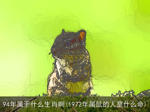 94年属于什么生肖啊(1972年属鼠的人是什么命)