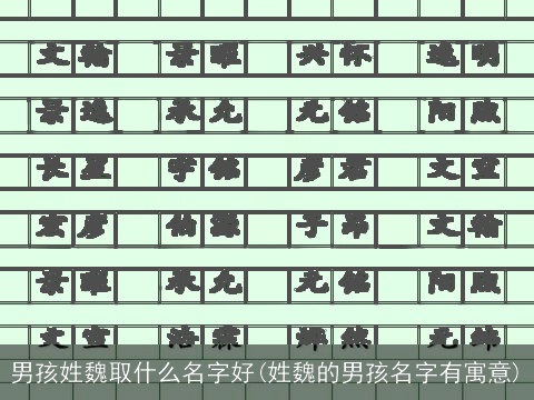 男孩姓魏取什么名字好(姓魏的男孩名字有寓意)