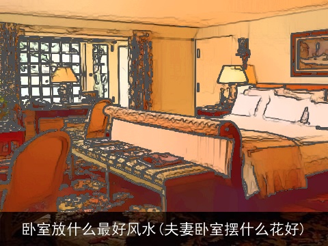 卧室放什么最好风水(夫妻卧室摆什么花好)