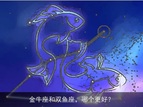 金牛座和双鱼座，哪个更好？