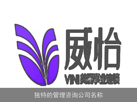独特的管理咨询公司名称