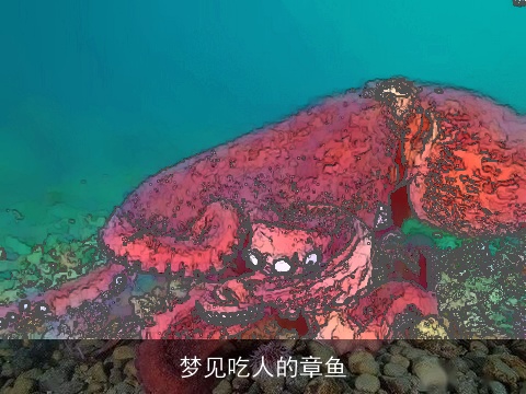 梦见吃人的章鱼