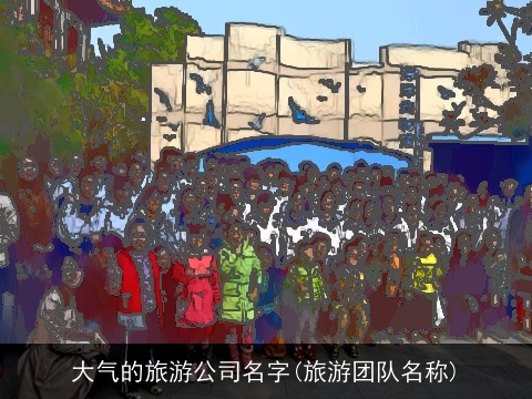 大气的旅游公司名字(旅游团队名称)