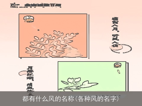 都有什么风的名称(各种风的名字)