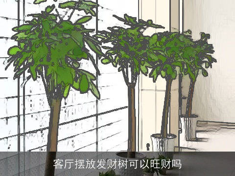 客厅摆放发财树可以旺财吗