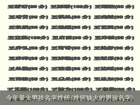 今年最火男孩名字姓杨(姓何缺火的男孩名字)