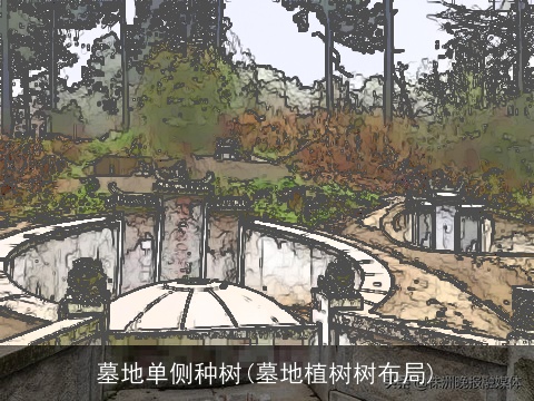 墓地单侧种树(墓地植树树布局)