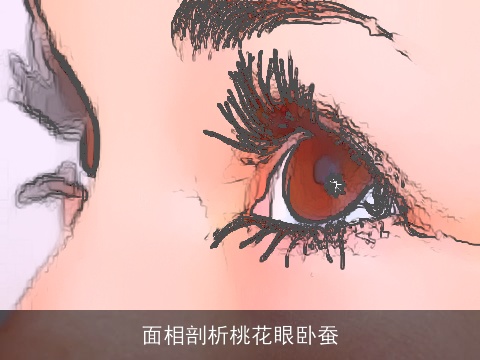 面相剖析桃花眼卧蚕