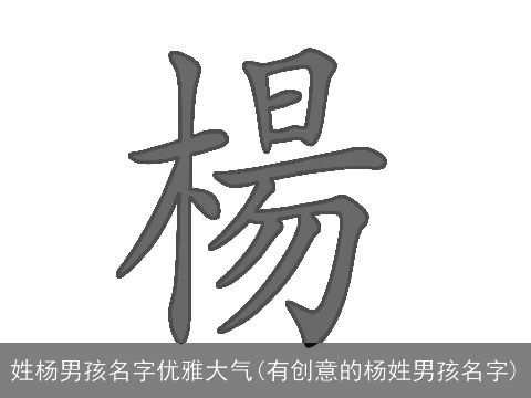 姓杨男孩名字优雅大气(有创意的杨姓男孩名字)