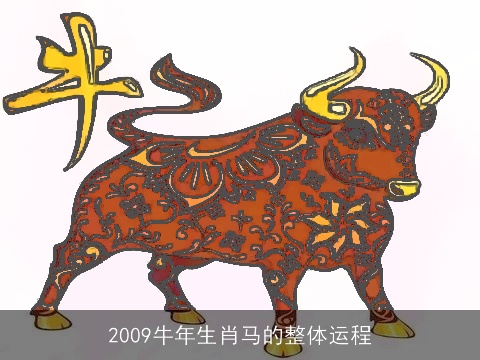 2009牛年生肖马的整体运程