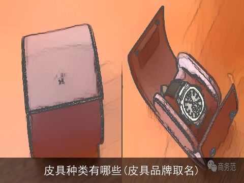皮具种类有哪些(皮具品牌取名)