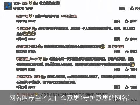 网名叫守望者是什么意思(守护意思的网名)