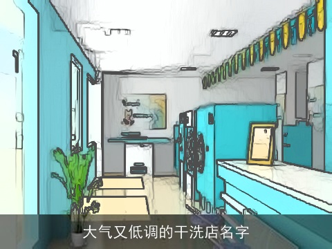 大气又低调的干洗店名字