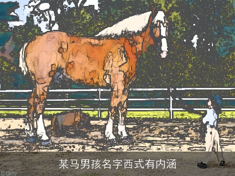 某马男孩名字西式有内涵