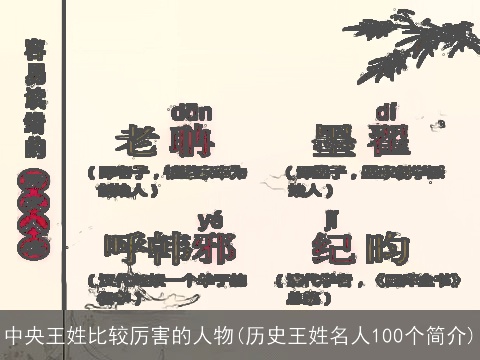 中央王姓比较厉害的人物(历史王姓名人100个简介)