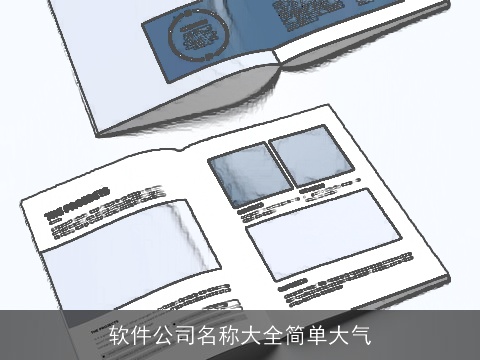 软件公司名称大全简单大气