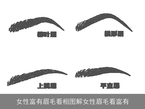 女性富有眉毛看相图解女性眉毛看富有