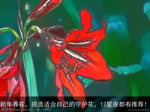 新年养花，挑选适合自己的守护花，12星座都有推荐！