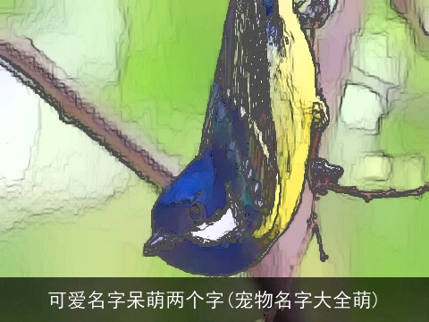 可爱名字呆萌两个字(宠物名字大全萌)