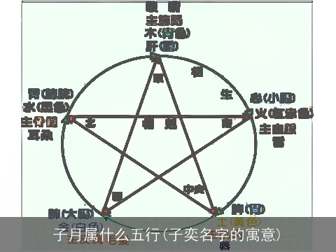 子月属什么五行(子奕名字的寓意)
