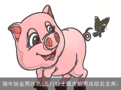 猪年缺金男孩名(五行缺土属虎的男孩取名宝典)