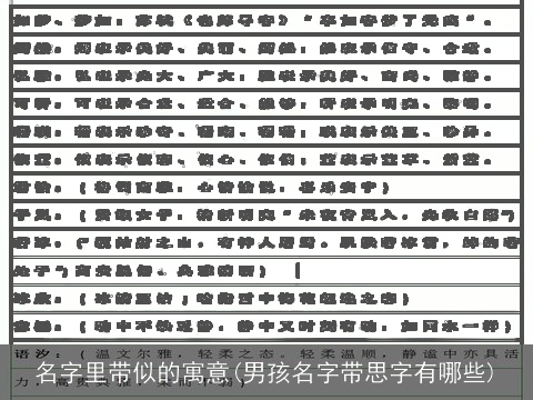 名字里带似的寓意(男孩名字带思字有哪些)