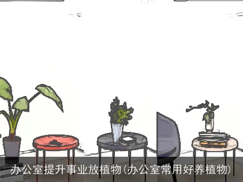 办公室提升事业放植物(办公室常用好养植物)