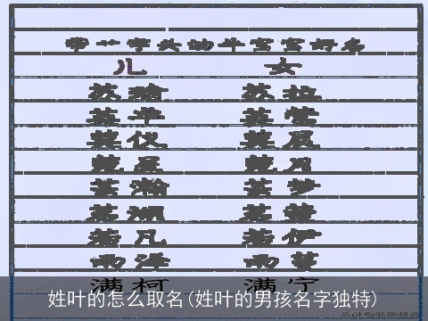 姓叶的怎么取名(姓叶的男孩名字独特)