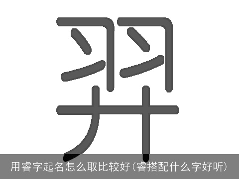 用睿字起名怎么取比较好(睿搭配什么字好听)