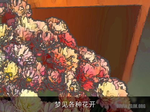 梦见各种花开