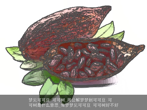 梦见可可豆 可可树_周公解梦梦到可可豆 可可树是什么意思_做梦梦见可可豆 可可树好不好