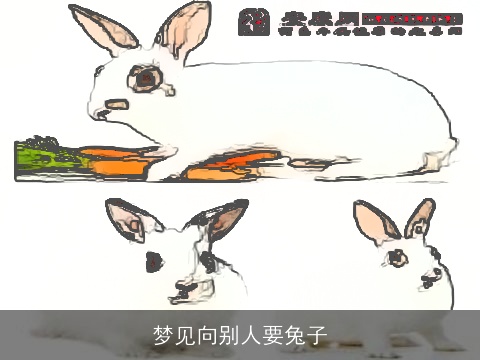 梦见向别人要兔子