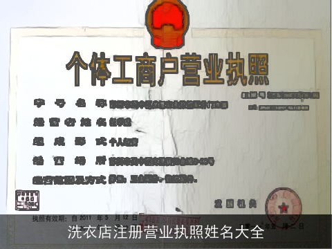 洗衣店注册营业执照姓名大全