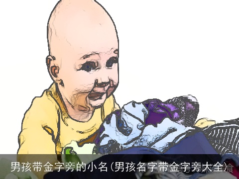 男孩带金字旁的小名(男孩名字带金字旁大全)