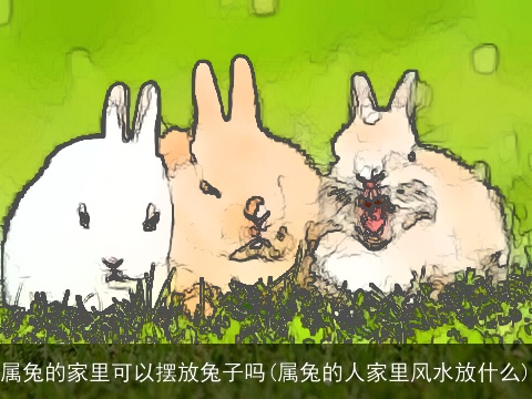 属兔的家里可以摆放兔子吗(属兔的人家里风水放什么)