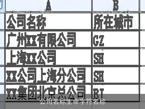 公司名称生命字符名称