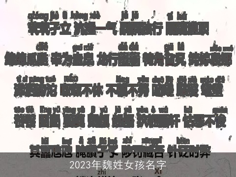 2023年魏姓女孩名字