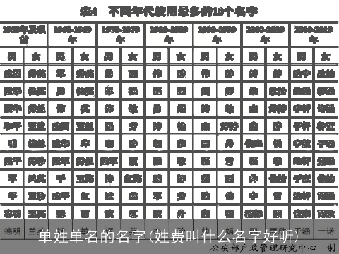 单姓单名的名字(姓费叫什么名字好听)