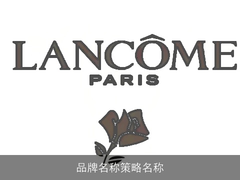 品牌名称策略名称